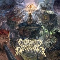 CEREBRAL ENGORGEMENT - 12'' LP - Cerebral Chronicles CEREBRAL ENGORGEMENT - 12'' LP - Cerebral Chronicles