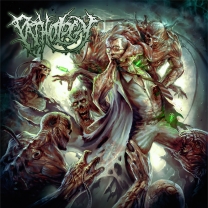 PATHOLOGY - CD - Pathology PATHOLOGY - CD - Pathology