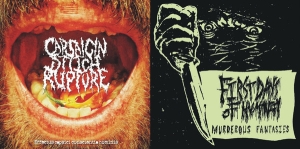 FIRST DAYS OF HUMANITY / CAPSAICIN STITCH RUPTURE - split CD -