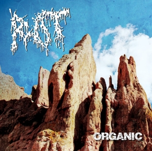 ROT - 12'' LP - Organic (black Vinyl)