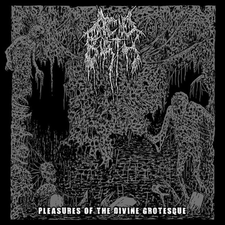 ACID BIRTH - 12'' LP - Pleasures Of The Divine Grotesque