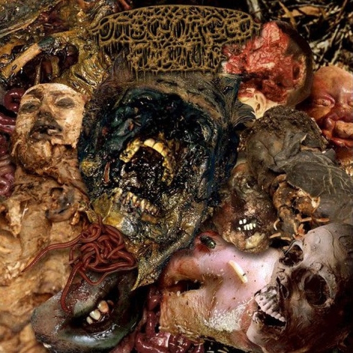DISGORGED FOETUS - 2x 12'' LP - The GORE Collection