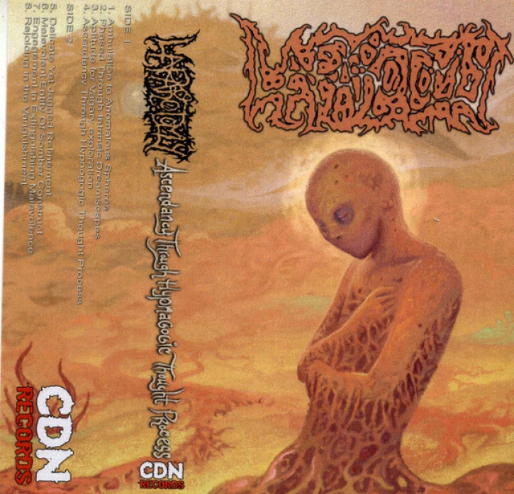 LAPAROTOMY - Tape MC - Ascendancy Through Hypnagogic Thought Process