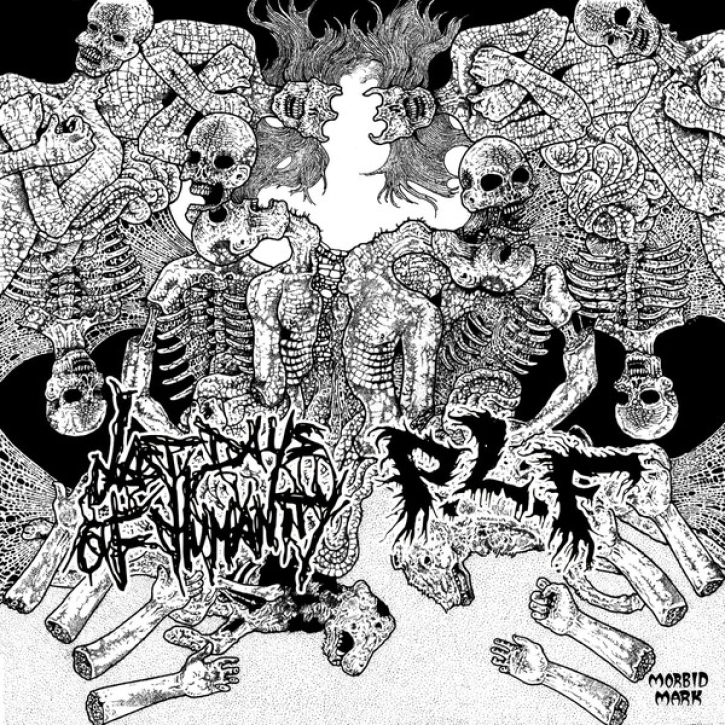 LAST DAYS OF HUMANITY / P.L.F. - split 12'' LP -