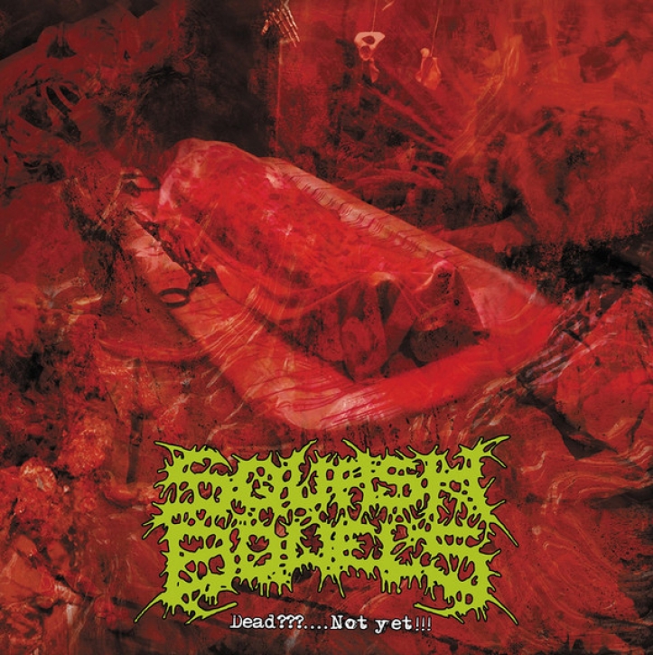 SQUASH BOWELS - CD - Dead???...Not Yet!!!