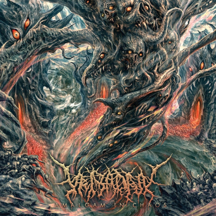 VEIYADRA - CD - Amalgam In Chaos